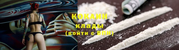 тгк Краснослободск