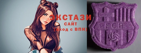 тгк Краснослободск