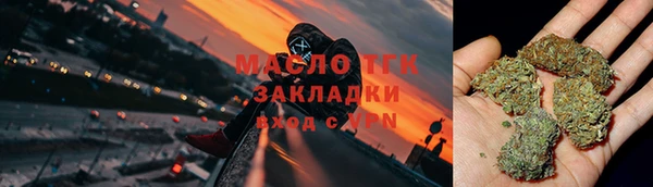 тгк Краснослободск