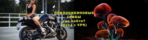 хмурый Краснотурьинск