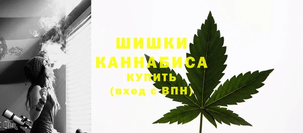 тгк Краснослободск