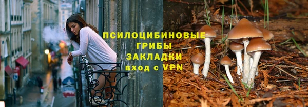 стафф Красноперекопск