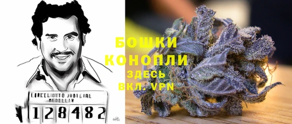 тгк Краснослободск