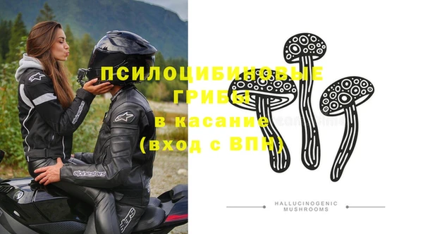 тгк Краснослободск